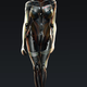 Image for article titled Stunning Mass Effect Portraits (And Dragon Age on a Leash)
